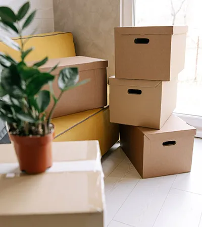 packning till ditt förråd